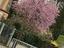 Immagine 19