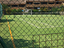 Immagine 7