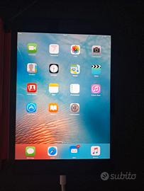 Apple Ipad Mini 1th