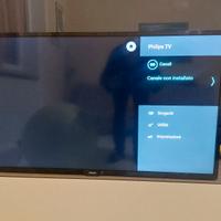 TV monitor 