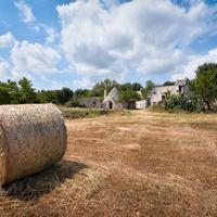 Casale storico con trulli e frantoio