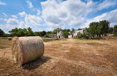 Casale storico con trulli e frantoio