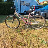 Mountain bike