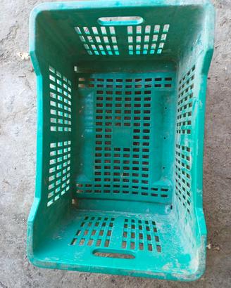 CASSE IN PLASTICA PER ALIMENTI