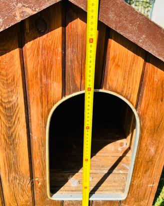 Cuccia per cani