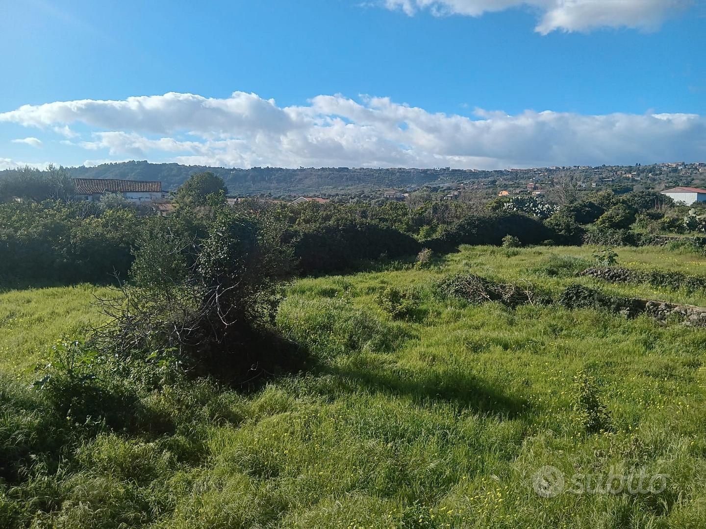 Scillichenti terreno - Vista 3