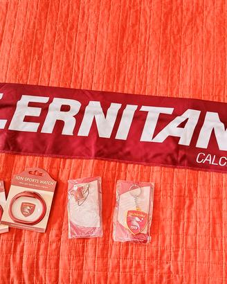 Salernitana calcio 