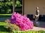 Immagine 26
