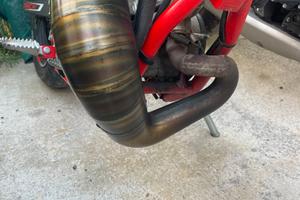 Scarico Completo Giannelli AM6