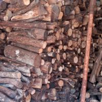 Legna ASCIUTTA e al coperto 