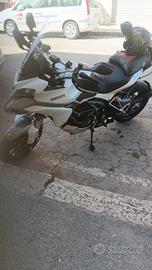 ducati multistrada 