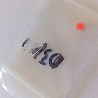 ingranaggio motere otturature Nikon D3100