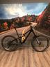 orbea-rallon-custom