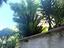 Immagine 12