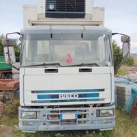 Iveco cella frigo