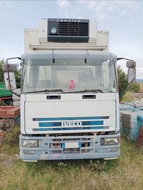 Iveco cella frigo