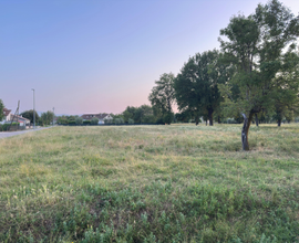 Terreno agricolo