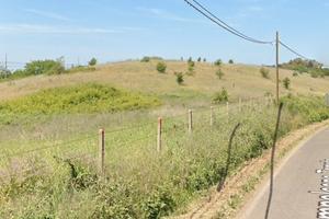 Terreno agricolo