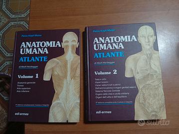 Anatomia umana Atlante - Kopf-Maier Vol 1-2 