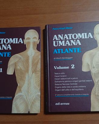 Anatomia umana Atlante - Kopf-Maier Vol 1-2 