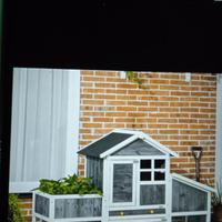 pollaio, casetta nuova per galline e/o altri volat