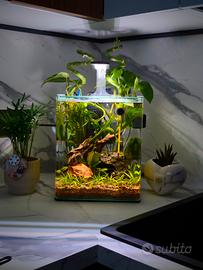 Acquario Amtra Nanotank 20 Completo di Tutto