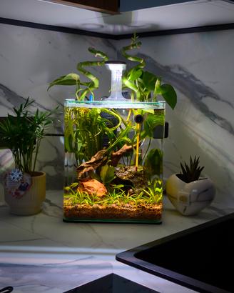 Acquario Amtra Nanotank 20 Completo di Tutto