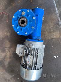 Motore trifase con riduttore 1:50 – 0,25 kW