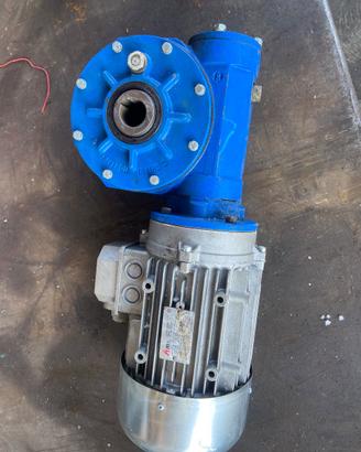 Motore trifase con riduttore 1:50 – 0,25 kW