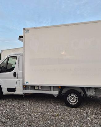 FIAT DUCATO FRIGO 2019