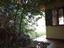 Immagine 12