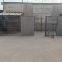 Box per cani in ferro zincato con tetto –