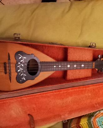 Mandolino  con custodia