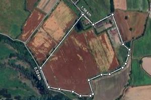 Se non ci può essere giorno senza i Cavalli