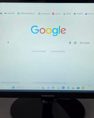 monitor 22 polici