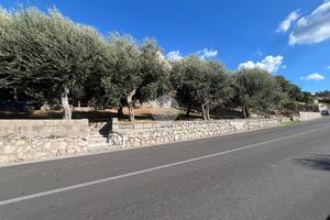 TER. AGRICOLO A LETTERE
