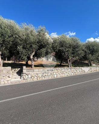 TER. AGRICOLO A LETTERE