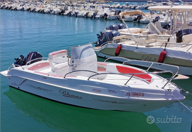 Open 19 con Suzuki 40