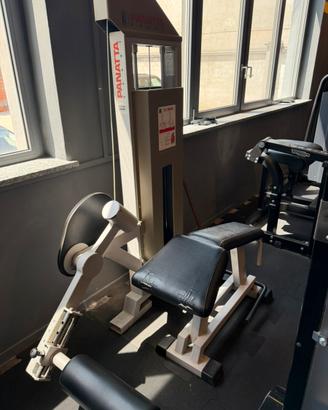 Leg curl Panatta