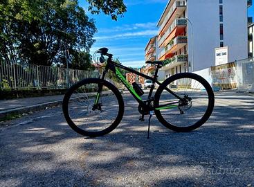 Bicicletta da ragazzo/adulto 29’