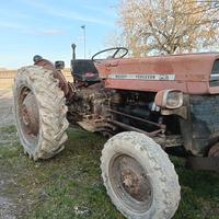 Massey Ferguson 135 con sollevatore