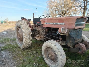 Massey Ferguson 135 con sollevatore