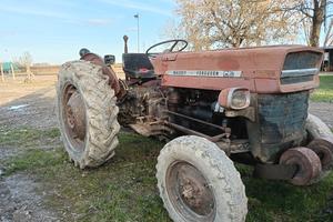 Massey Ferguson 135 con sollevatore