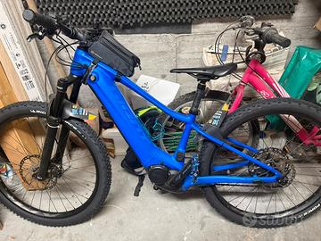 Ebike mountain bike