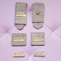 Lotto di 6 spille distintivi dorati AUC