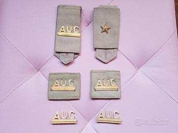 Lotto di 6 spille distintivi dorati AUC