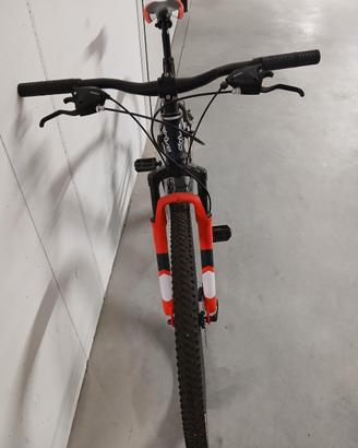 rampichino
