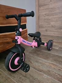 Triciclo evolutivo