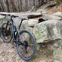 MTB Bottecchia Ortles  295+