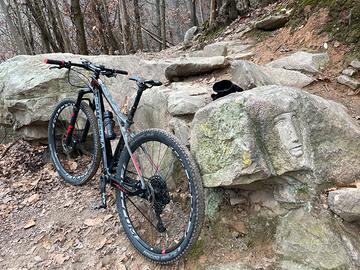 MTB Bottecchia Ortles  295+